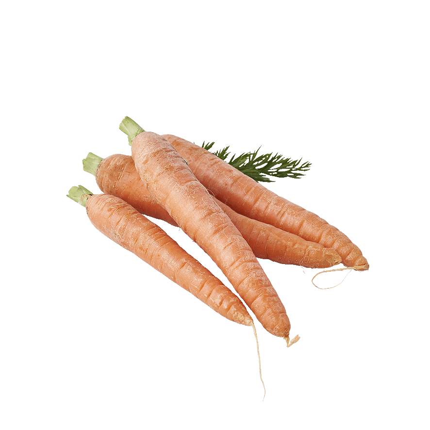ZANAHORIAS EL KILO