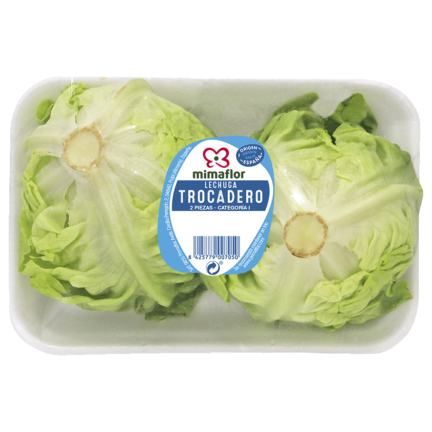 LECHUGA TROCADERO BANDEJA DE 2 UDS.