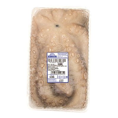 PULPO CRUDO 800-1000 GRS.