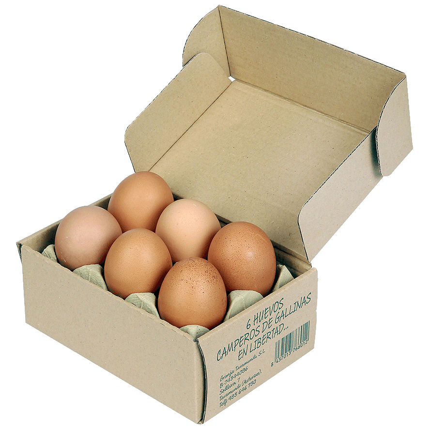 HUEVOS CAMPEROS 6 UDS.