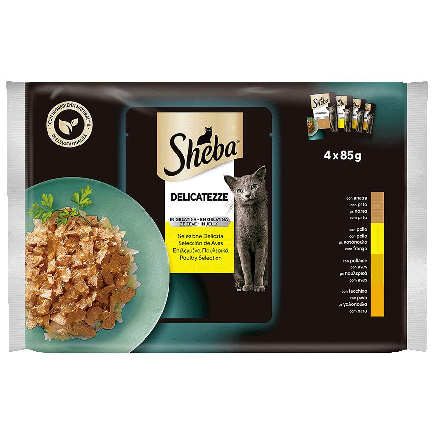 COMIDA DE AVES EN GELATINA PARA GATOS 85 G. PACK 4