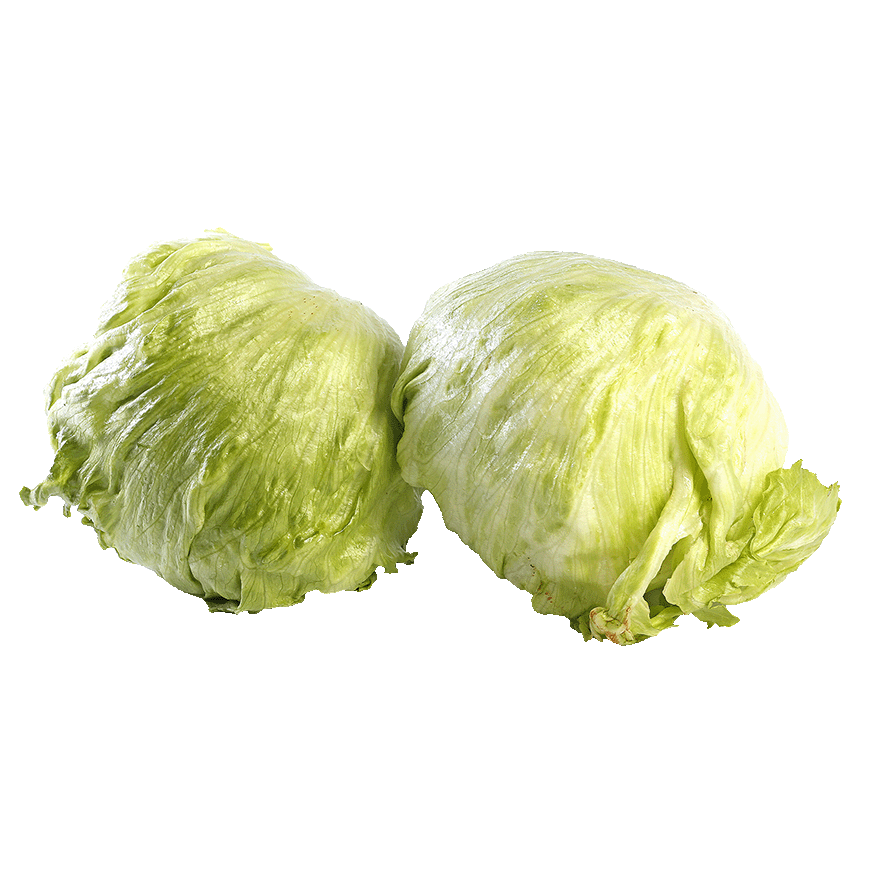 LECHUGA ICEBERG 1 UD.