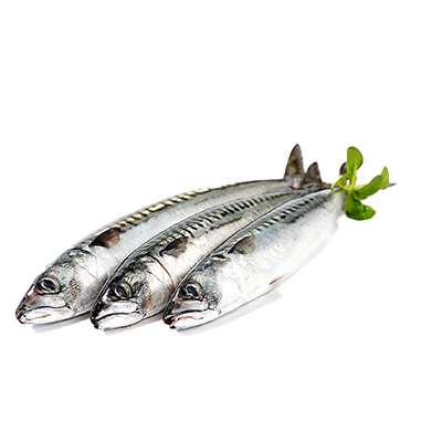 CABALLA O (XARDA) EL KILO