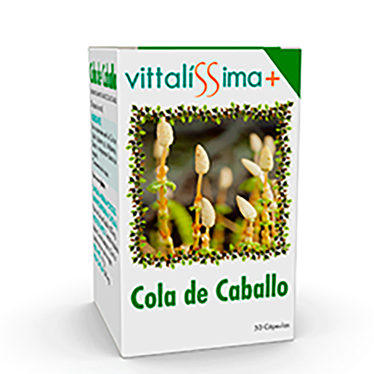 COLA DE CABALLO 50 C&Aacute;PSULAS