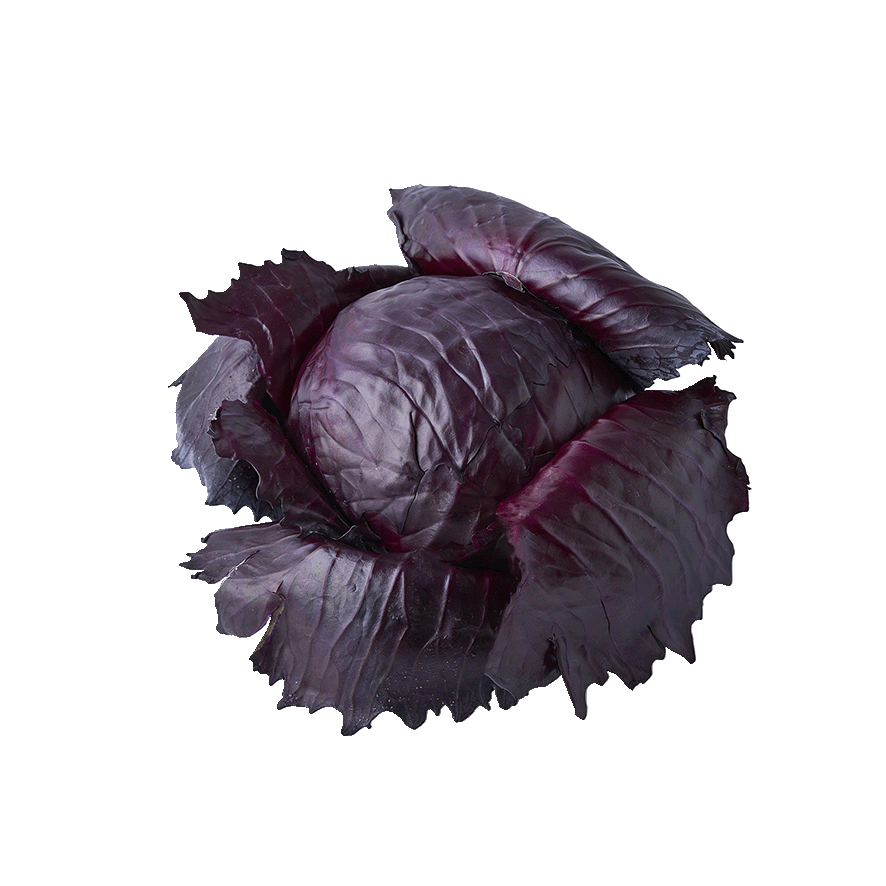 LOMBARDA MORADA EL KILO