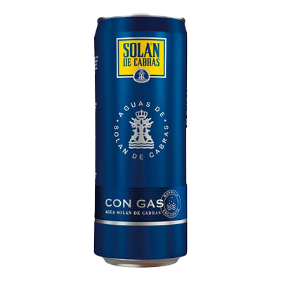 AGUA CON GAS 33 CL.