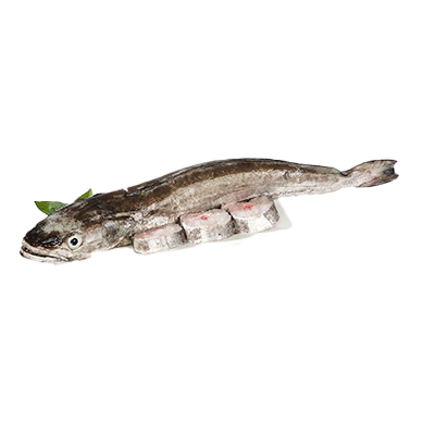 MERLUZA PINCHO DEL DIA EL KILO