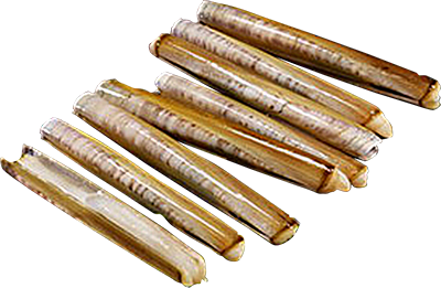 NAVAJAS EL KILO