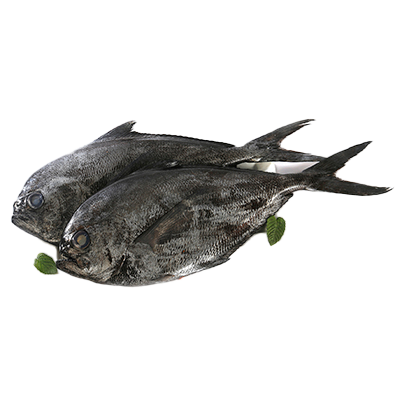PALOMETA NEGRA EL KILO