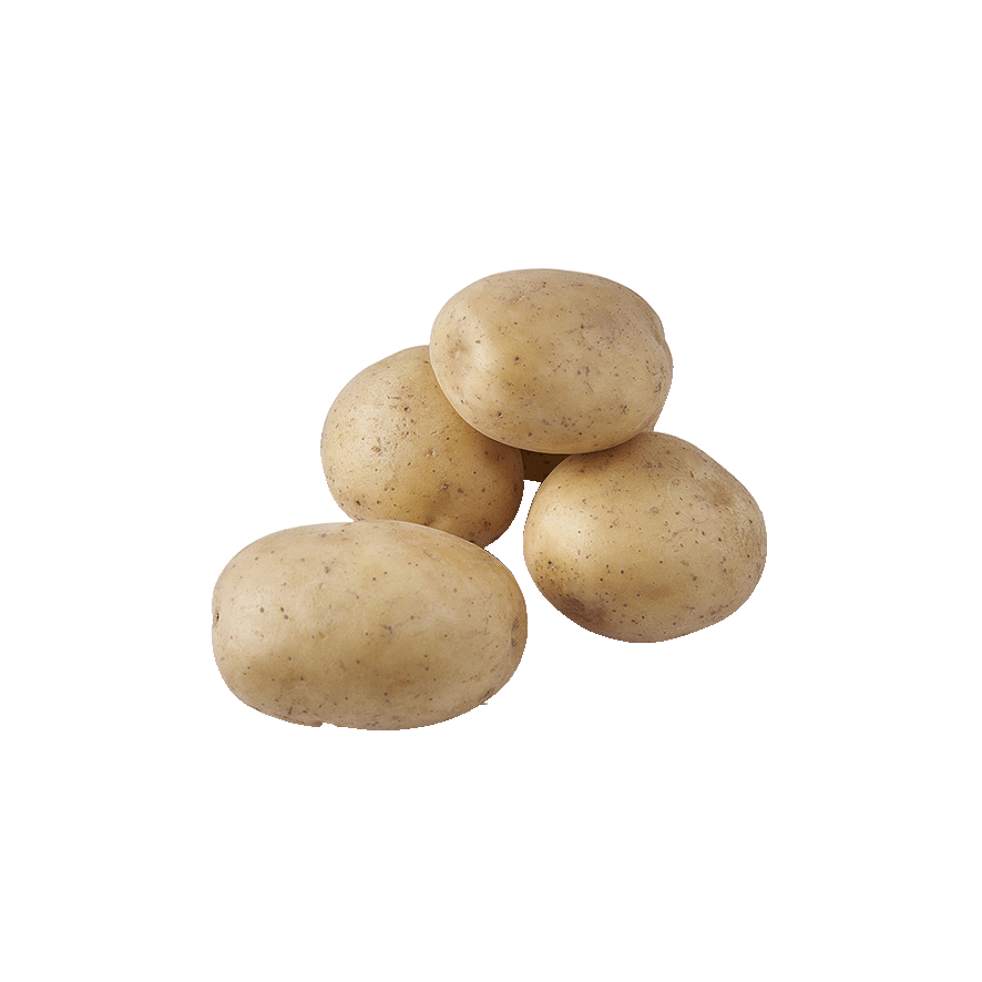 PATATA NUEVA EL KILO