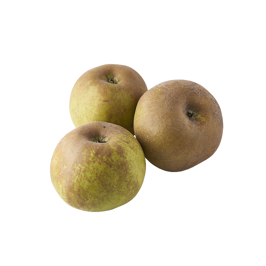 MANZANA REINETA EL KILO