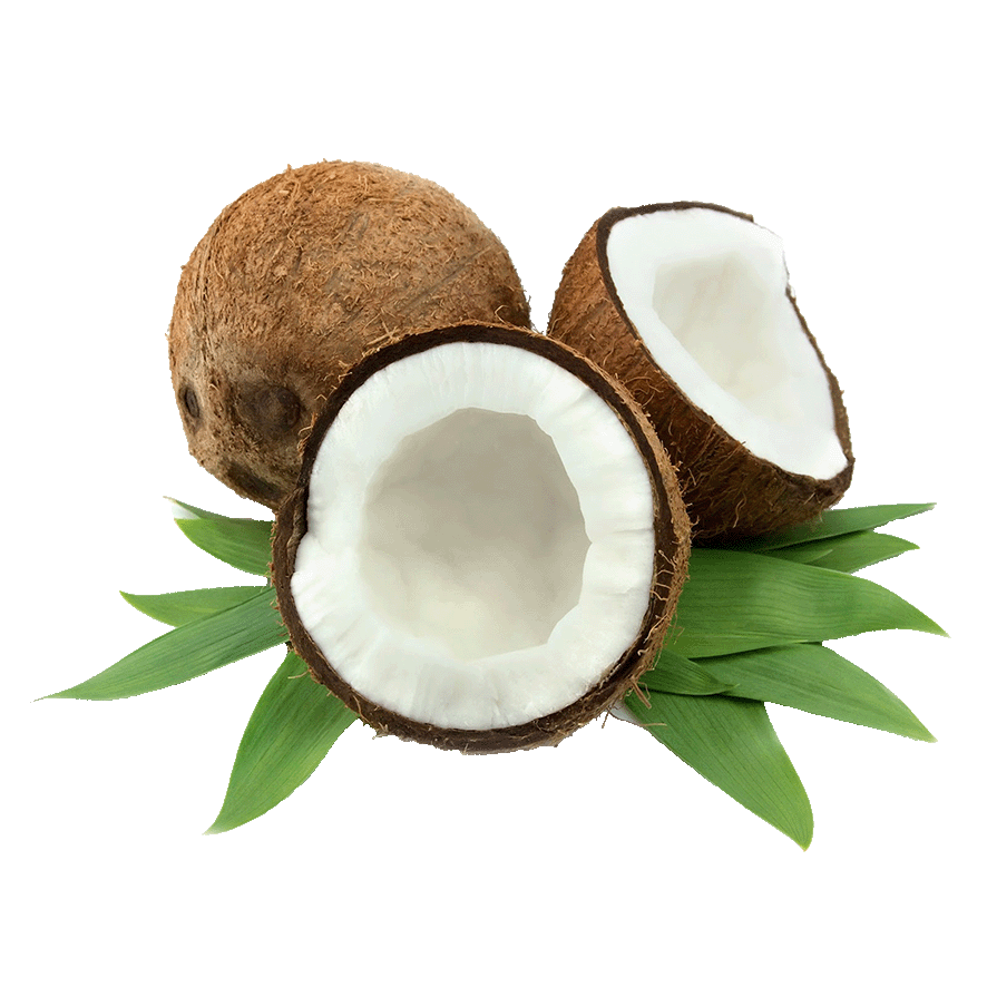 COCO UND