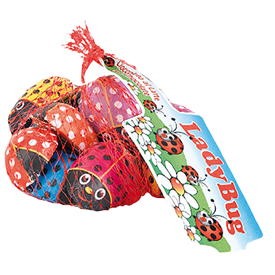 MARIQUITAS DE CHOCOLATE 84 G.