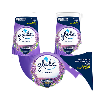 AMBIENTADOR ABSORBEOLORES LAVANDA 150 G. PACK 2