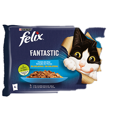 COMIDA DE PESCADO PARA GATOS 85 G. PACK 4
