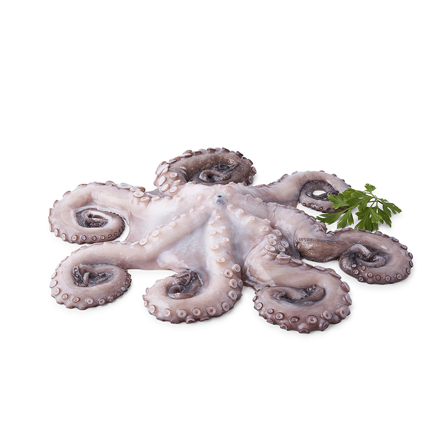 PULPO EL KILO