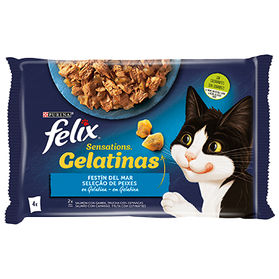 COMIDA GELATINAS DE PESCADO PARA GATOS 85 G. PACK 4