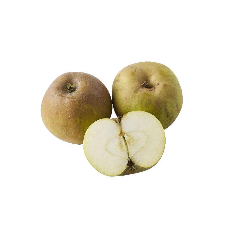 MANZANA REINETA EL KILO