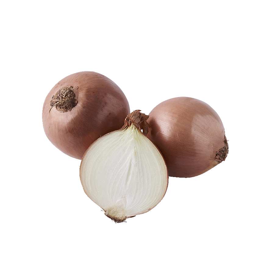 CEBOLLA EL KILO