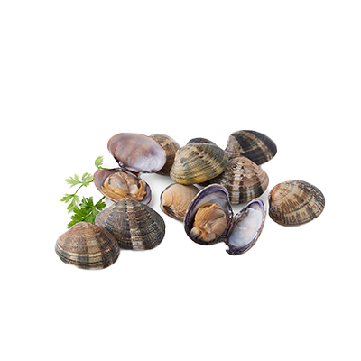 ALMEJA DE CULTIVO MALLA DE 500 G.