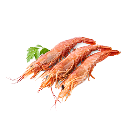 LANGOSTINO AUSTRAL N&ordm;1, 10 A 20 PIEZAS EL KILO