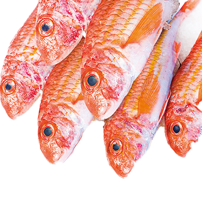 SALMONETE EL KILO
