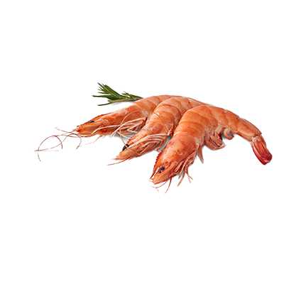 LANGOSTINO COCIDO, 40 A 50 PIEZAS EL KILO