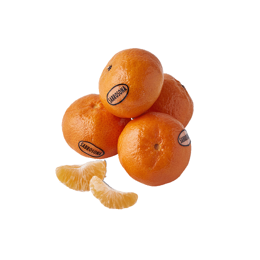 MANDARINA EL KILO