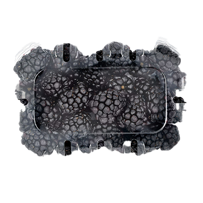 MORAS 125 G.