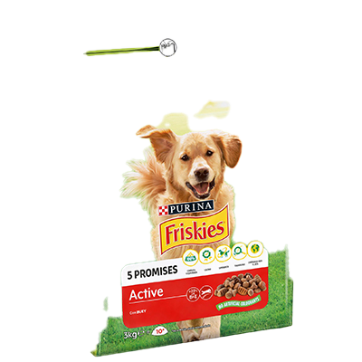 COMIDA PARA PERROS ACTIVE RICO EN CARNES 3 KILOS