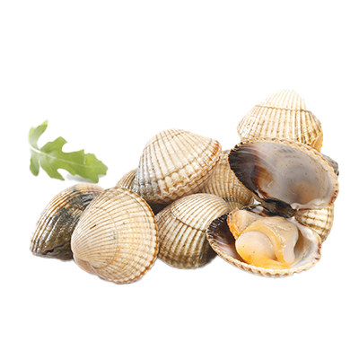BERBERECHOS MALLA DE 500 G.