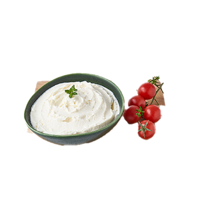 QUESO FRESCO REQUESON EL KILO