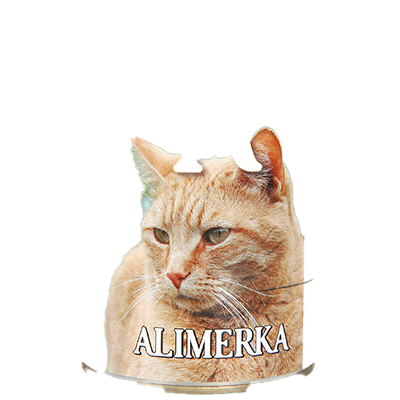 PAT&Eacute; CON AT&Uacute;N PARA GATOS 400 GRS.