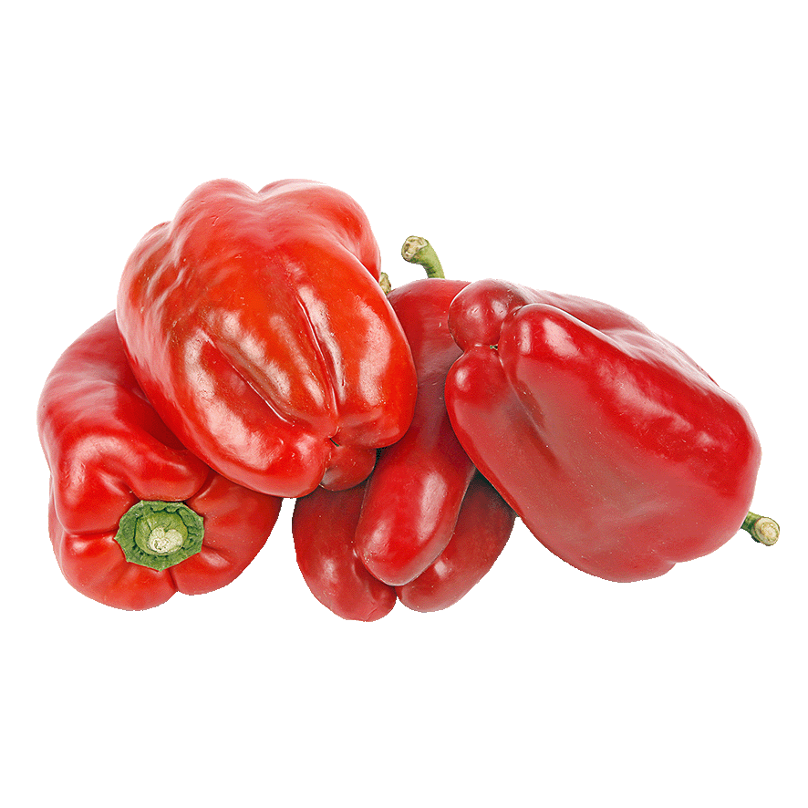 PIMIENTO ROJO EL KILO