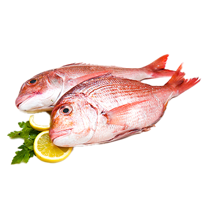 PARGO ROSADO EL KILO