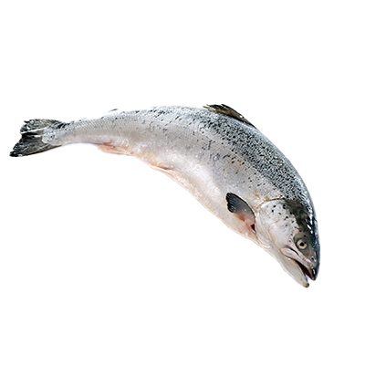 SALMON ENTERO, 2 A 3 KILOS EL KILO