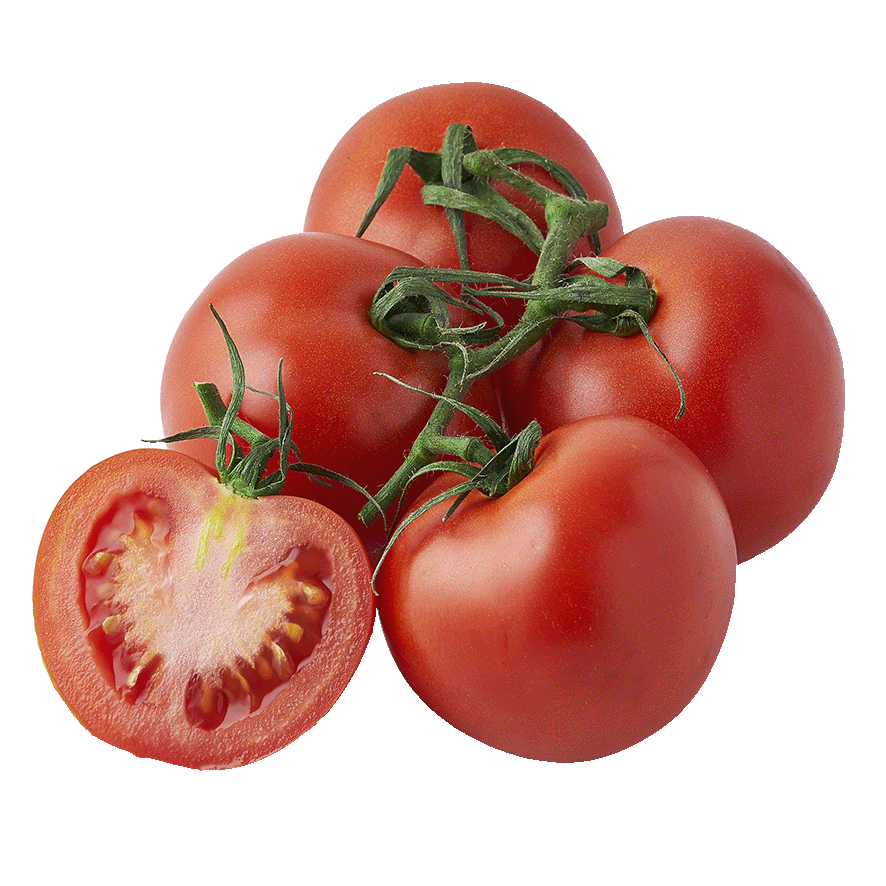 TOMATE EN RAMA EL KILO