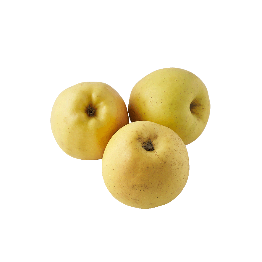 MANZANA GOLDEN II EL KILO