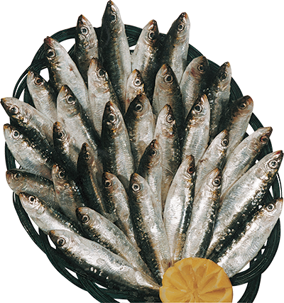 SARDINAS EL KILO