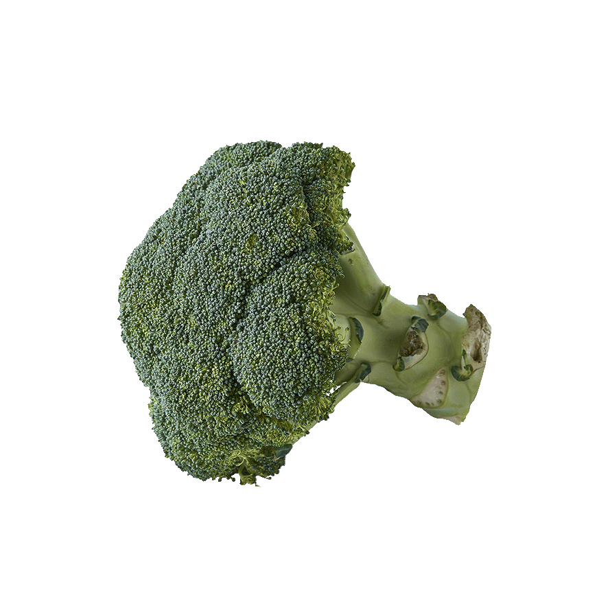 BROCOLI EL KILO