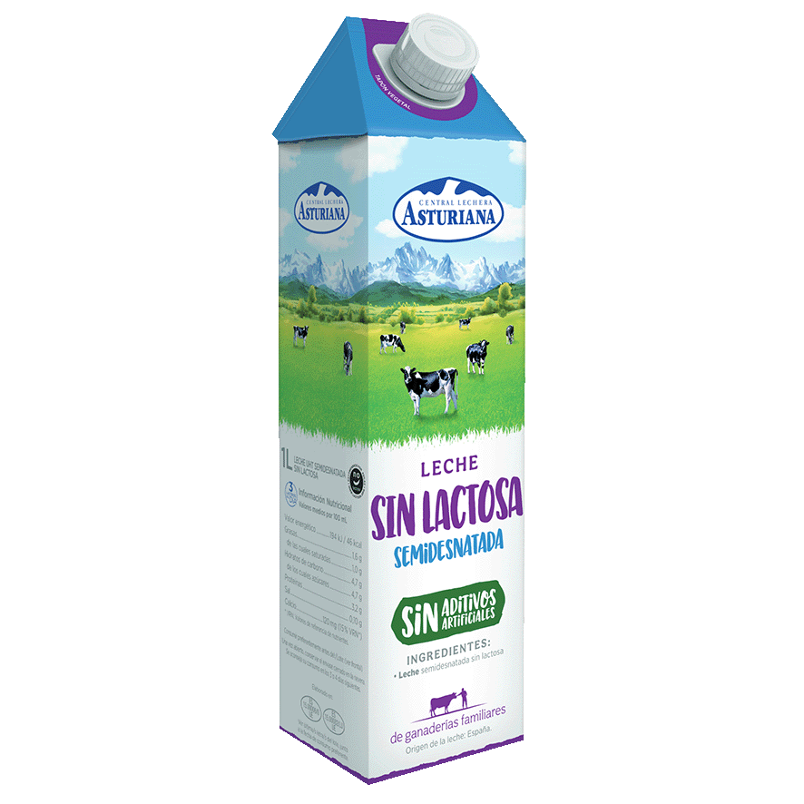 LECHE SEMIDESNATADA SIN LACTOSA 1 LITRO