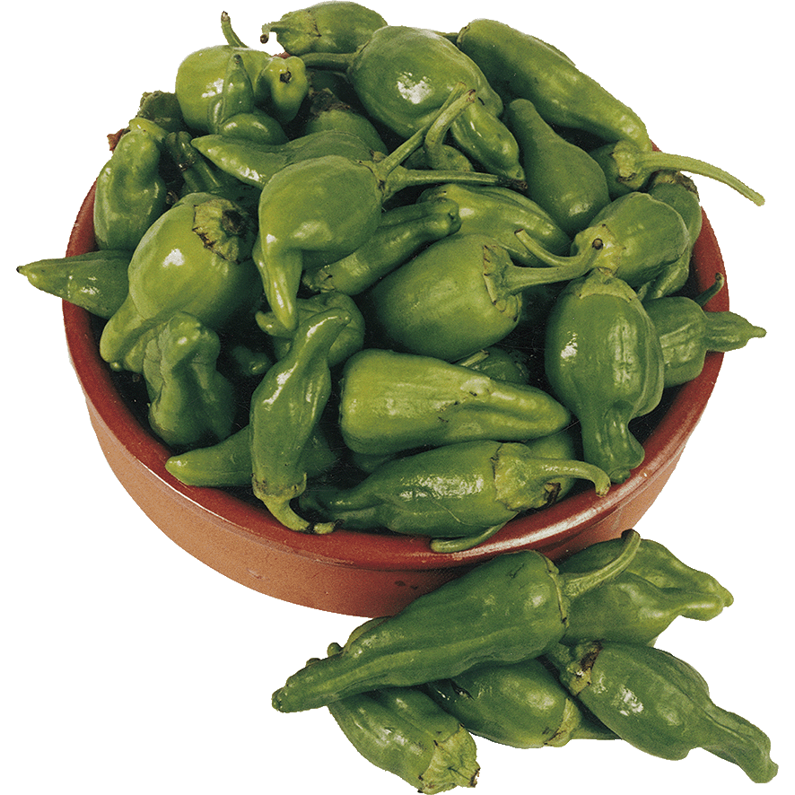 PIMIENTO TIPO PADR&Oacute;N 300 G.