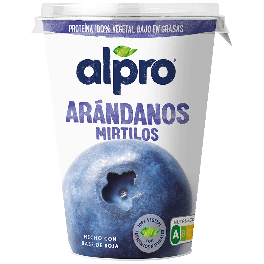 POSTRE DE SOJA CON AR&Aacute;NDANOS 400 G.