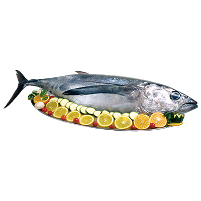 BONITO ENTERO EL KILO