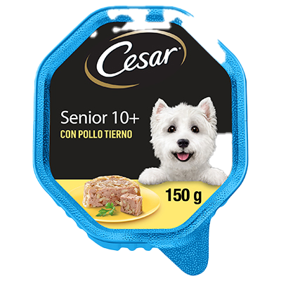 COMIDA PARA PERROS SENIOR 10+ 150 G.