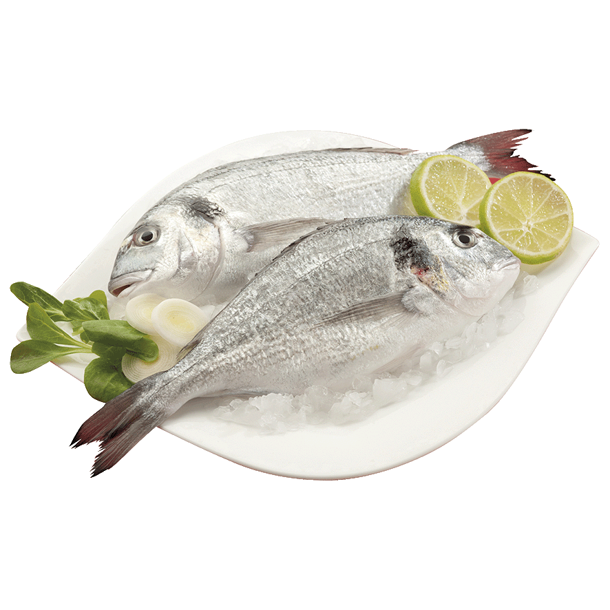 DORADA DE CRIANZA PIEZA DE 450 G. APROX.