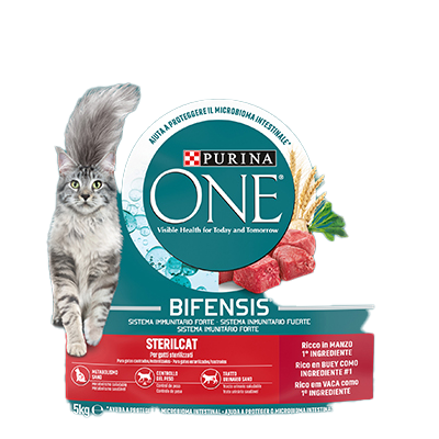 COMIDA PARA GATOS ESTERILIZADOS 1,5 KILOS
