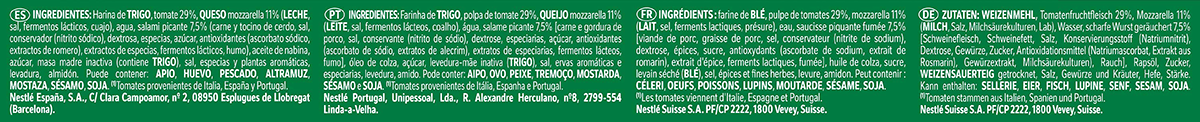 PIZZA FORNO DI PIETRA SALAMINO 315 G.