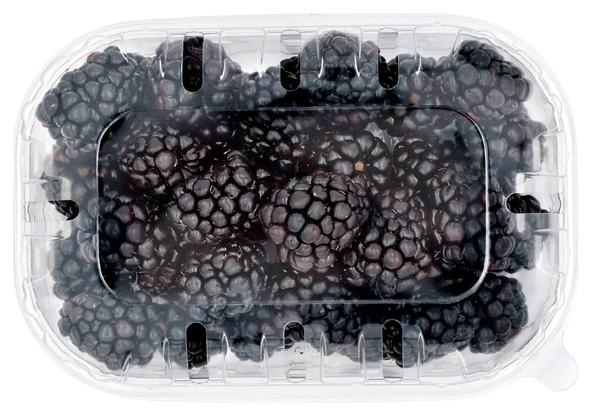 MORAS 125 G.