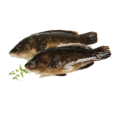 MARAGOTA EL KILO